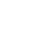 Free City Wide Delivery Icon